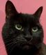 user_258's Avatar